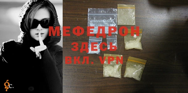 индика Горно-Алтайск