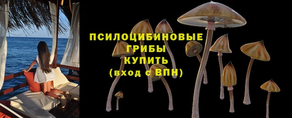индика Горно-Алтайск