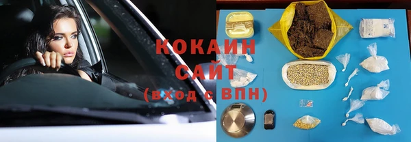 индика Горно-Алтайск