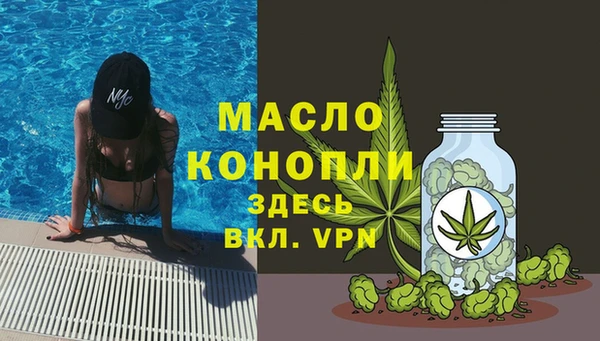 индика Горно-Алтайск