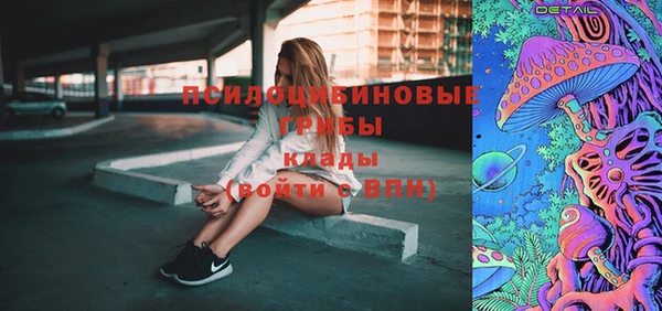 индика Горно-Алтайск