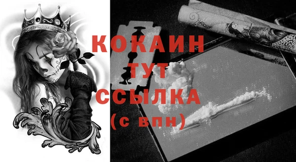 индика Горно-Алтайск