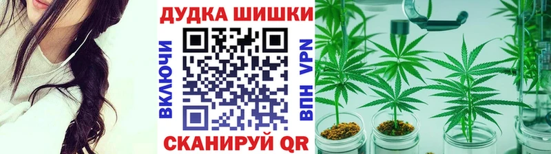 Купить закладки  Зуевка  Конопля SATIVA & INDICA 
